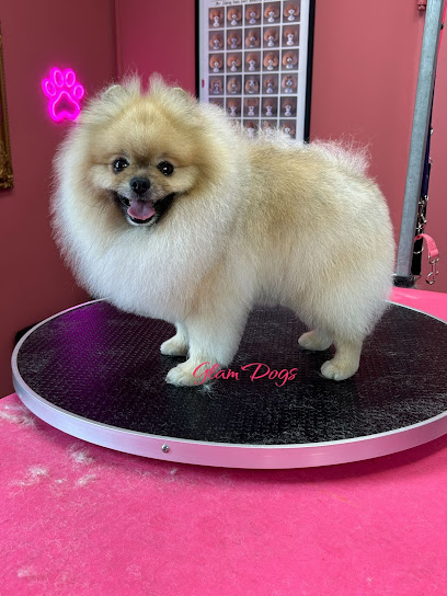 Glam’Dogs Bochum Hundesalon & Spa - Tierhandlung in Bochum
