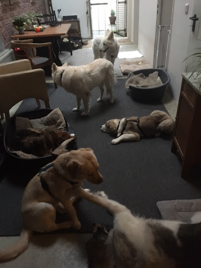 Bochum-Hundepunkt - Tierhandlung in Bochum