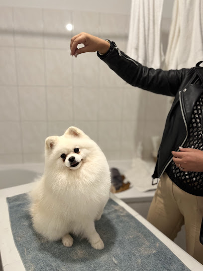 Anna's Hundesalon - Tierhandlung in Wuppertal