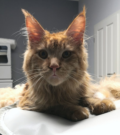 pudelwohl Hundesalon und Katzensalon - Tierhandlung in Bielefeld
