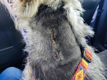 Kleintierpraxis Bielefeld Dr. Silke Mehlhose-Koch