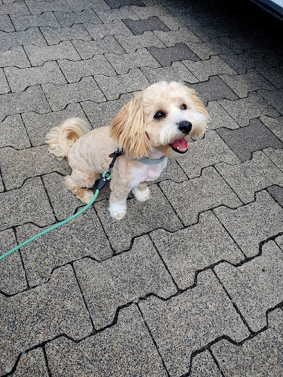 Fressnapf Bielefeld-Jöllenbeck