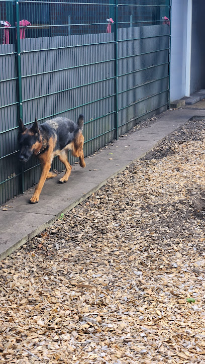 Tierschutzverein Bielefeld & Umgebung e.V.