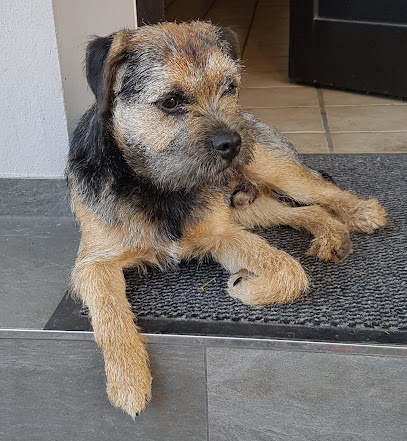Terrier Studio - Tierhandlung in Bielefeld