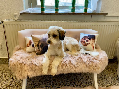 Hundesalon Knutschnase - Nathalie Schüller - Tierhandlung in Bielefeld