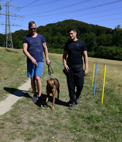 Hundetraining Oliver Ritterbusch