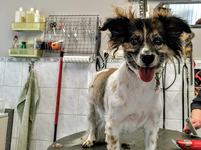 Hundesalon Maczek - Tierhandlung in Bielefeld