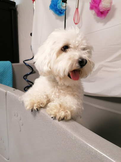 fellherzen - petstyling, beauty & wellness (Hundesalon, Katzensalon)