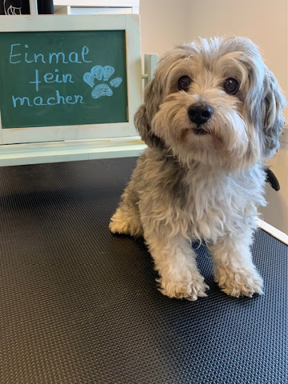 Piets-Dog-Wellness Hundesalon - Tierhandlung in Bonn