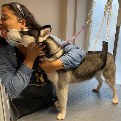 Hundesalon Bonn Lou’s Lounge - Tierhandlung in Bonn