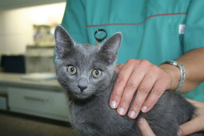 Tierarztpraxis Färber-Torres