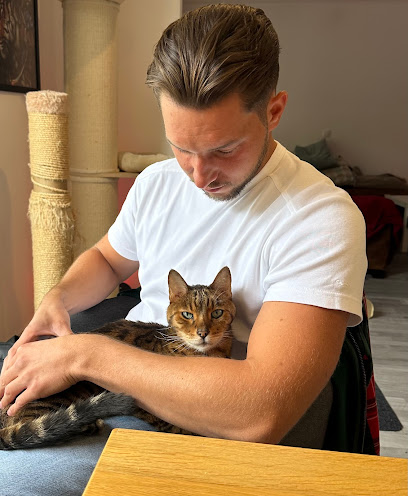 Amvet - Tierphysiotherapie, Tierheilpraktik, Tierchiropraktik in Bonn (Hund, Katze & Pferd) - Tierhandlung in Bonn