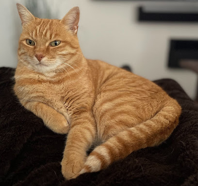 Herbert und Maria Welter Tierschutzstiftung