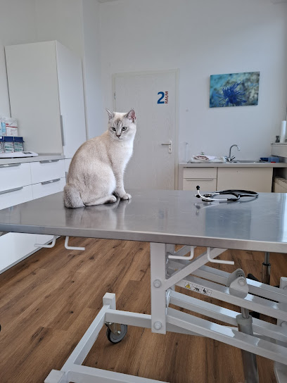 aniDOC Tierarztpraxis MS Nord