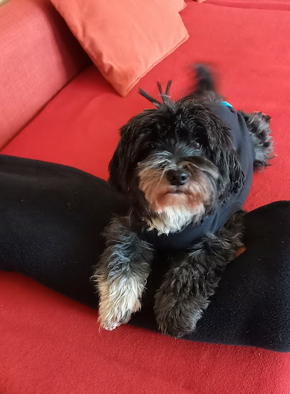 Juppien Andrea Dr. Kleintierpraxis