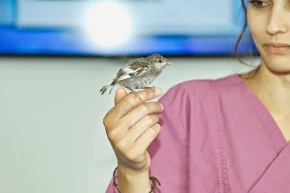 aniDOC Tierarztpraxis MS Süd