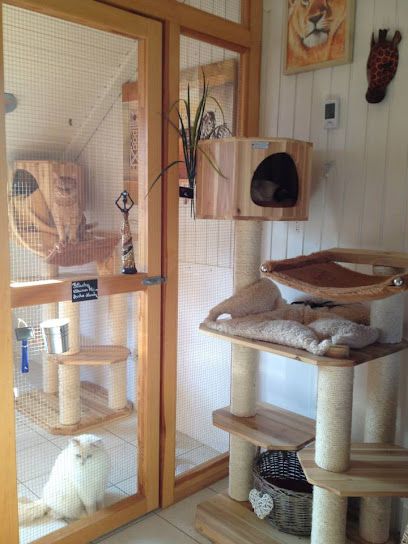 Wellness - Katzenpension Marhöfer - Mannheim