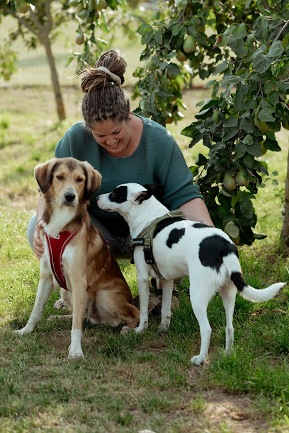 Glückshund-mobile Hundebetreuung - Mannheim