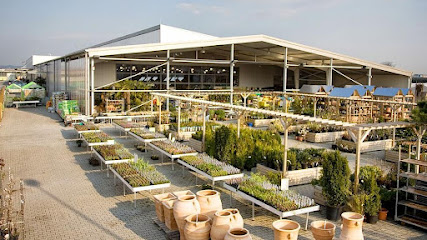 Raiffeisen Mannheim eG