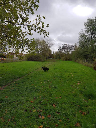 Hundewiese Mannheim-Wallstadt