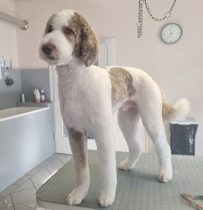 Der Hundesalon Mannheim