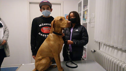 Dr. med. vet. Robert Hausner Tierarztpraxis