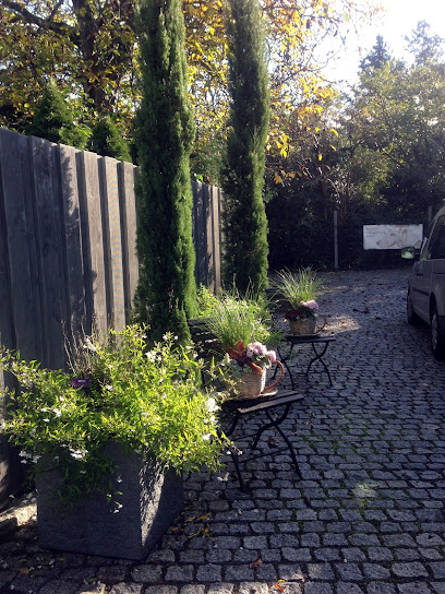 Hundepension Don Emilio