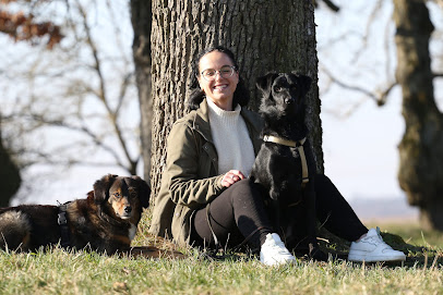 Liebling Hundezentrum - Coaching für Hundehalter