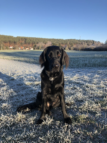 Tierarztpraxis Dr. Andreas Haag