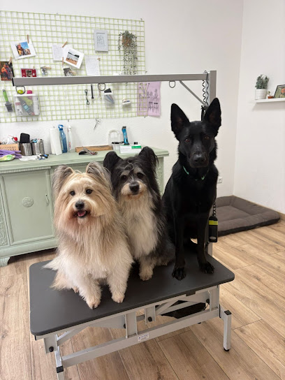 Das HundeAtelier