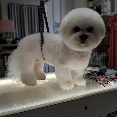 Miss Groomer Hunde-Katzen Fellpflege & Boutique