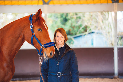 Tierarztpraxis für Pferde Schwerpunkt Chiropraktik Dr. Linda Amtsfeld