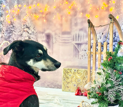 Hundepension Andrea Ehlert