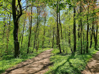 Waldpark Mannheim