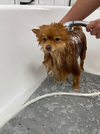 Tamaras Pfotentreff Hundesalon