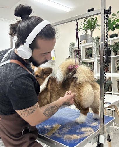 Vitor Brandão | The Grooming Dog Spa