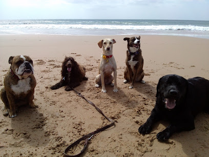 Pet-Sitting da Linha Cascais/Oeiras/Lisboa