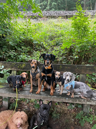 Rotensteiner Hundemeute