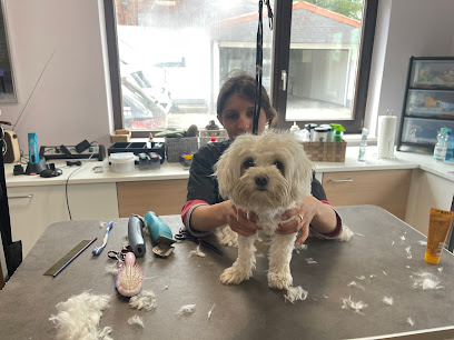 Duke’s Hundefriseur - Tierhandlung in Karlsruhe