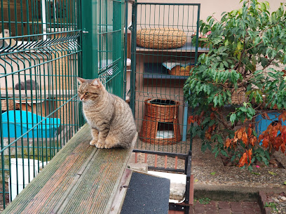 Katzenhilfe Karlsruhe e.V. - Tierhandlung in Karlsruhe