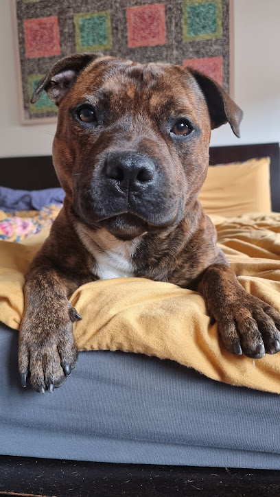 das Hundehaus - Tierhandlung in Karlsruhe