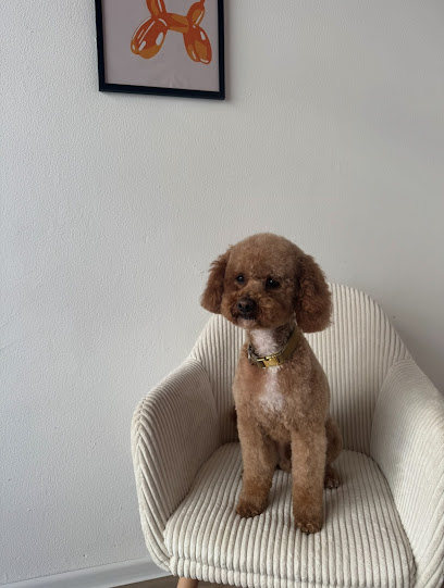 Fell‘Amore | Dog Spa by Alba