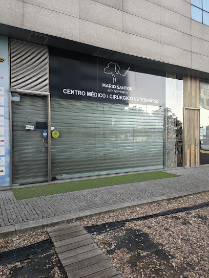 Mario Santos,Arte Veterinaria - Pet Shop em Porto
