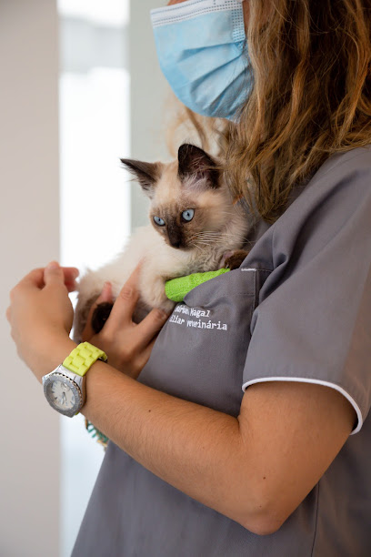 Centro de Imagiologia Veterinária do Porto