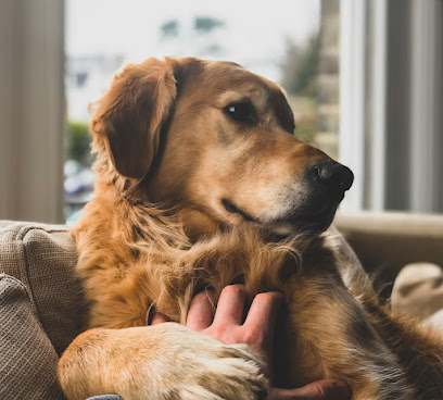 Tierbestattung Canina (ehemals Tierbestattung Volz Karlsruhe)