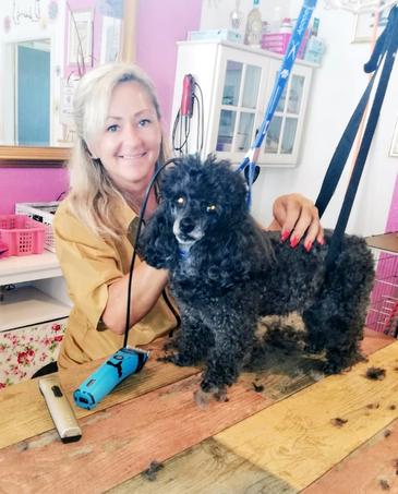 hundeschnittchen - Ihr mobiler Hundefriseur - Tierhandlung in Karlsruhe