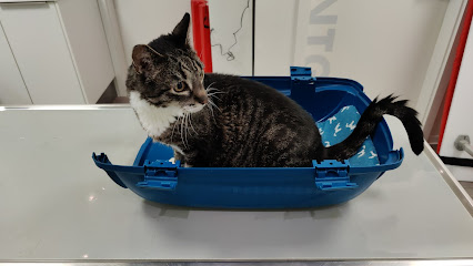 Tierarztpraxis Dr. Katharina de Rossi, KA-Waldstadt