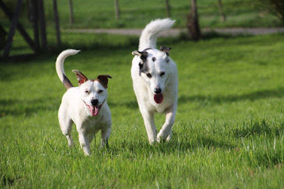 Villa Bunterhund - Tierpension