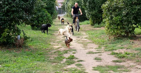 Canisa - Hotel Canino