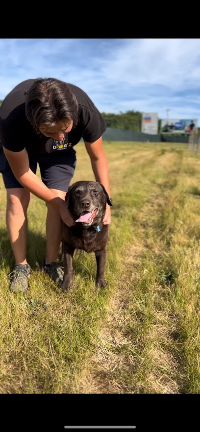 Dog'Z Training & Hotel